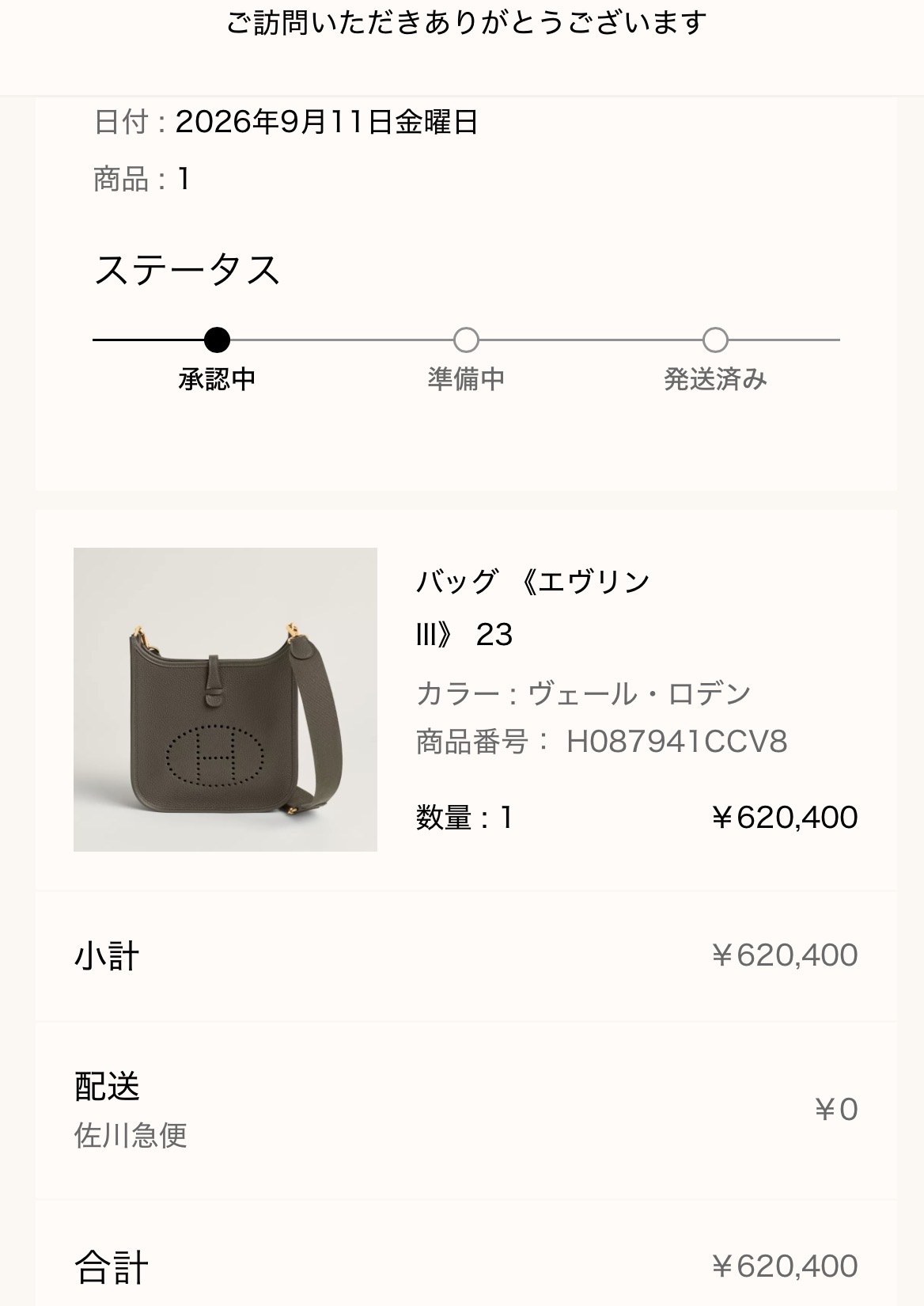 メルシー報告: バッグ《エヴリンIII》23(ヴェール・ロデン、¥620,400)のご注文内容画面